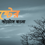 কষ্টের স্ট্যাটাস বাংলা