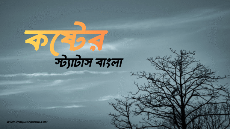 কষ্টের স্ট্যাটাস বাংলা